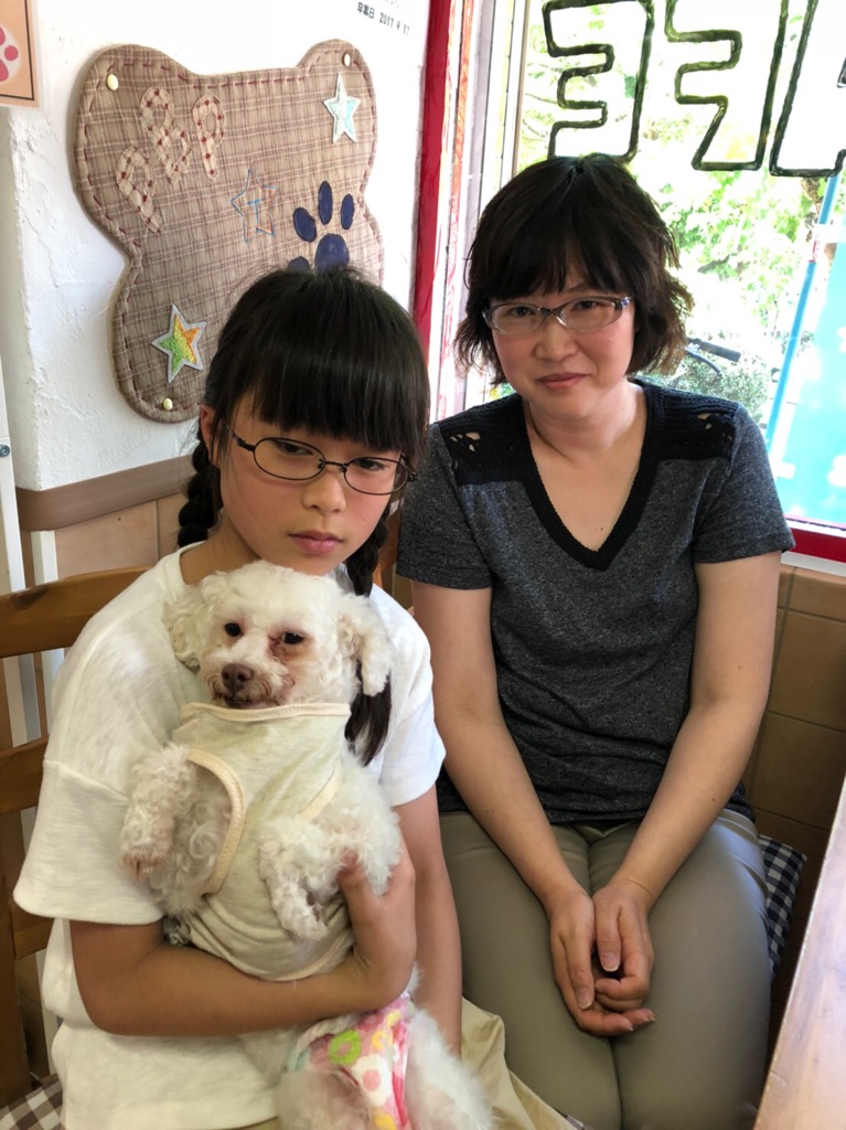 【運命の赤い糸見～つけた💓トイプードルのシノちゃん💕、ヒャーちゃん💕、マルチーズのまるちゃん💕】